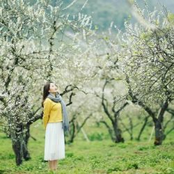 Thượng Hải - Hàng Châu - Tô Châu - Ô Trấn
