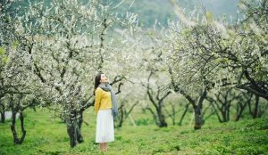 Thượng Hải - Hàng Châu - Tô Châu - Ô Trấn