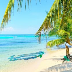 Phú Quốc Từ Đại Dương Xanh Đến Trải Nghiệm Đẳng Cấp