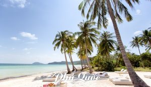 Phú Quốc Từ Đại Dương Xanh Đến Trải Nghiệm Đẳng Cấp